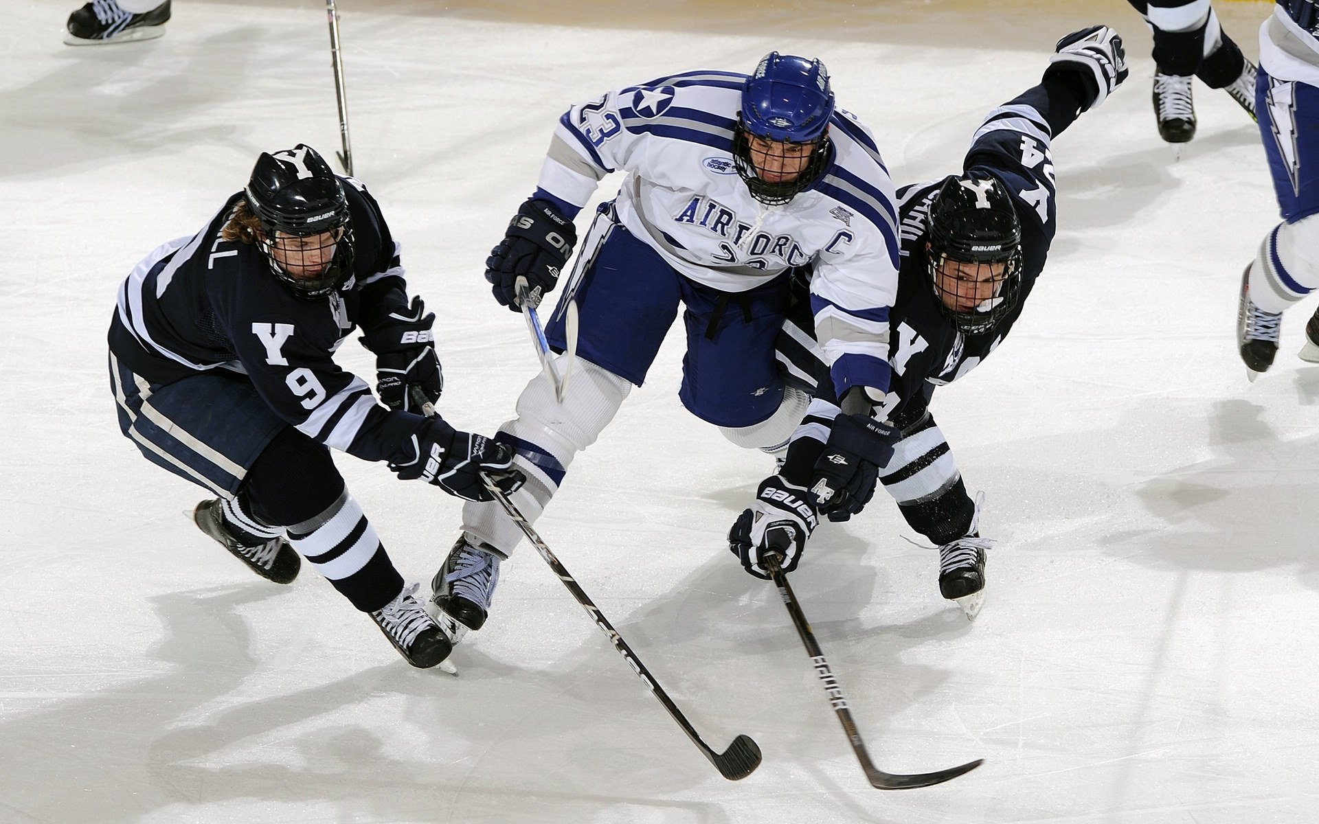 IM Sport-当拜仁铁血遇上塞内加尔节奏，维尼修斯式掌控如何重塑足球战术想象